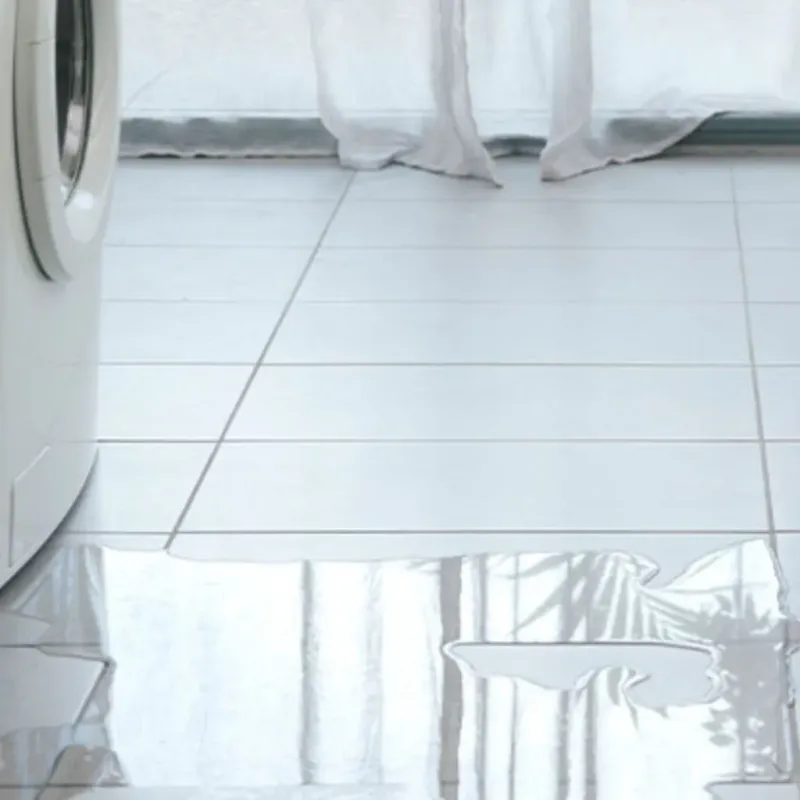 Appliance Leak Cleanup in Boling, TX