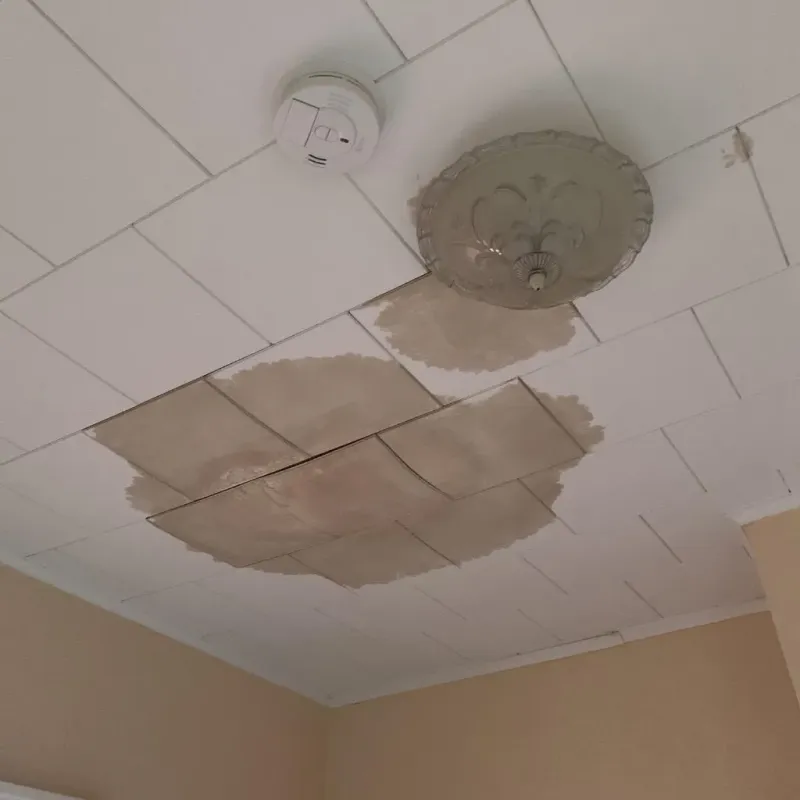Ceiling Water Damage Repair in Boling, TX