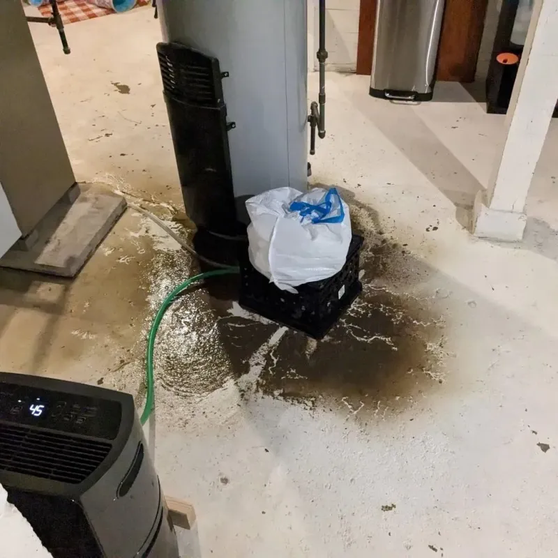 Sewage Backup Cleanup Service in Boling, TX